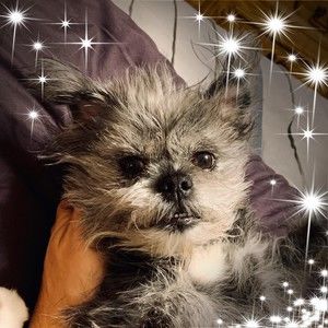 Meet your Posher, Kim